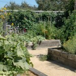 dale's garden Here is the Rancho Pillow garden in summer (see the Rancho Pillow link on the right).