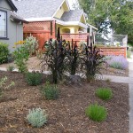eric's front Here is a garden in Santa Rosa Designed by MML and installed with Julian Sanchez.