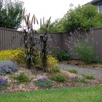 pam graziano yard Here is a garden in Mtn Hawk designed and installed by MML with Devin Price (who designed this website).